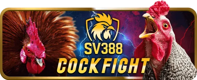 Tổng quan các chương trình khuyến mãi vj999 win